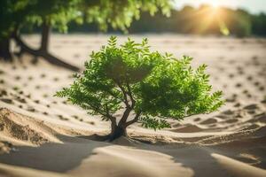 ein klein Baum wachsend im das Sand. KI-generiert foto