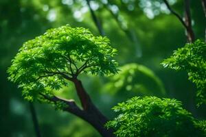 ein Baum mit Grün Blätter im das Hintergrund. KI-generiert foto