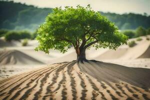 ein Baum ist wachsend auf oben von Sand Dünen. KI-generiert foto