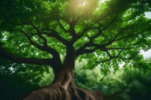 ein Baum mit Wurzeln im das Mitte von ein Wald. KI-generiert foto