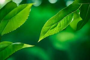 Grün Blätter auf ein Baum. KI-generiert foto