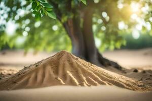 ein Baum ist wachsend aus von ein Sand Hügel. KI-generiert foto