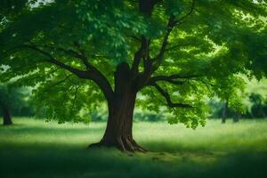 ein Baum im ein Grün Feld mit Gras. KI-generiert foto