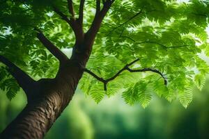 ein Baum mit Grün Blätter im Vorderseite von ein Grün Hintergrund. KI-generiert foto