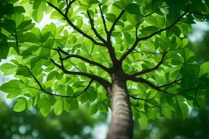 ein Baum mit Grün Blätter ist gesehen von über. KI-generiert foto