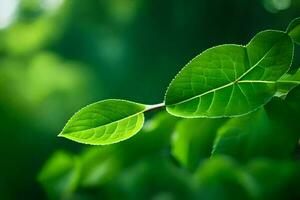 Grün Blätter auf ein Baum. KI-generiert foto