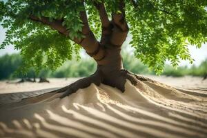 ein Baum mit Wurzeln im das Sand. KI-generiert foto