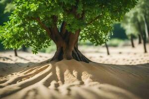 ein Baum im das Wüste mit Sand und Bäume. KI-generiert foto