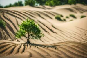 ein einsam Baum im das Mitte von ein Wüste. KI-generiert foto