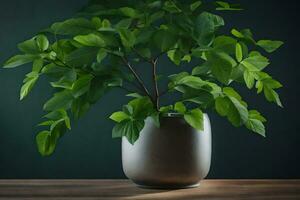 ein eingetopft Pflanze im ein Vase auf ein Tisch. KI-generiert foto