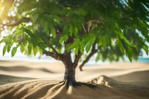 ein Baum im das Sand mit das Sonne leuchtenden. KI-generiert foto