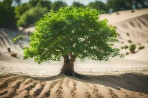 ein Baum im das Wüste. KI-generiert foto