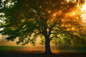 ein Baum ist silhouettiert gegen das Sonne im ein nebelig Feld. KI-generiert foto