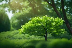 ein Baum im das Mitte von ein Grün Feld. KI-generiert foto