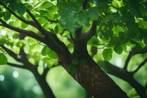 ein Baum mit Grün Blätter und ein Grün Hintergrund. KI-generiert foto