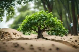 ein klein Baum wachsend im das Sand. KI-generiert foto