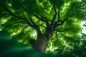 ein Baum im das Wald. KI-generiert foto