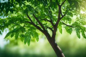 ein Baum mit Grün Blätter im das Sonnenlicht. KI-generiert foto