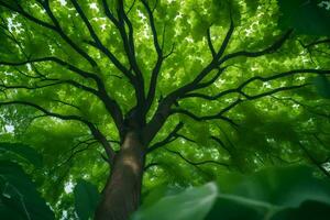 ein Baum mit Grün Blätter und Sonnenlicht. KI-generiert foto