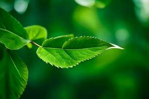 Grün Blätter auf ein Baum. KI-generiert foto