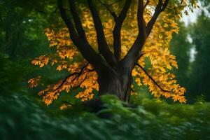 ein Baum mit Gelb Blätter im das Mitte von ein Wald. KI-generiert foto