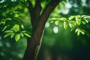 ein Baum mit Grün Blätter im das Sonnenlicht. KI-generiert foto