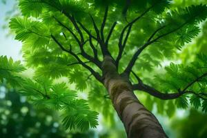 ein Baum im das Wald mit Grün Blätter. KI-generiert foto