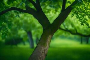 ein Baum im das Mitte von ein Grün Feld. KI-generiert foto