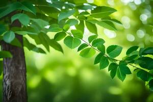 Grün Blätter auf ein Baum im das Sonnenlicht. KI-generiert foto