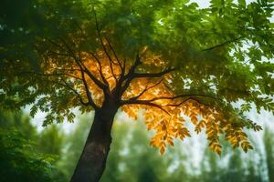 ein Baum mit hell Grün Blätter und Sonnenlicht. KI-generiert foto