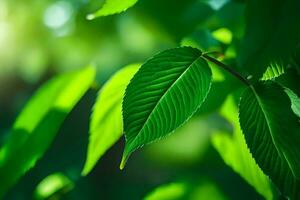 Grün Blätter auf ein Baum. KI-generiert foto