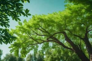 ein Baum mit Grün Blätter und ein Blau Himmel. KI-generiert foto