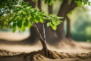 ein klein Baum ist wachsend im das Sand. KI-generiert foto