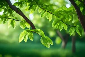 Grün Blätter auf ein Baum im das Sonnenlicht. KI-generiert foto