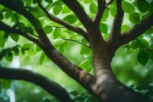 ein Baum mit Grün Blätter im das Hintergrund. KI-generiert foto