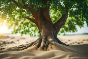 ein Baum mit Wurzeln im das Sand. KI-generiert foto