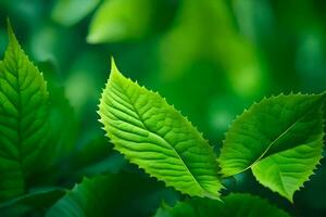 Grün Blätter auf ein Pflanze. KI-generiert foto
