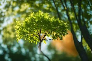 ein Baum mit Blätter im das Vordergrund und ein hell Sonne. KI-generiert foto