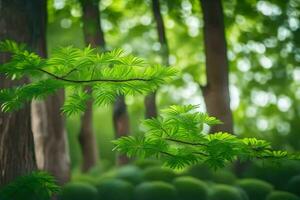 ein Grün Wald mit Bäume und Blätter. KI-generiert foto