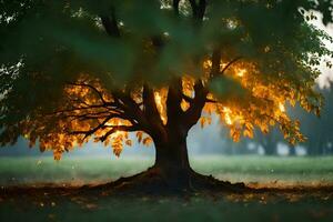 ein Baum mit das Sonne leuchtenden durch Es. KI-generiert foto