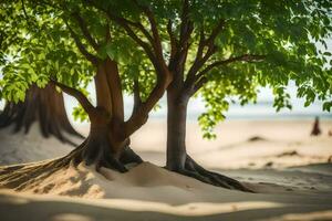 zwei Bäume sind wachsend aus von das Sand. KI-generiert foto