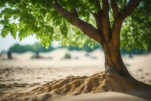 ein Baum ist wachsend aus von das Sand im das Wüste. KI-generiert foto