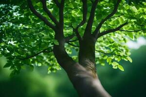 ein Baum mit Grün Blätter und ein Grün Hintergrund. KI-generiert foto