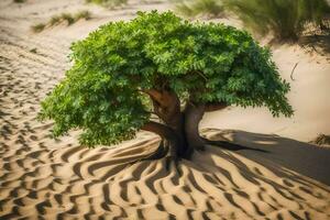 ein Baum wachsend im das Sand Dünen von das Sahara Wüste. KI-generiert foto