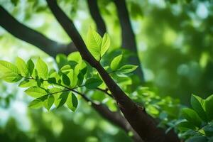 Grün Blätter auf ein Baum Ast. KI-generiert foto
