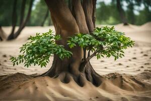 ein Baum wachsend aus von das Sand im das Wüste. KI-generiert foto