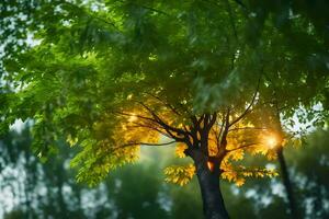 ein Baum mit hell Licht leuchtenden durch Es. KI-generiert foto