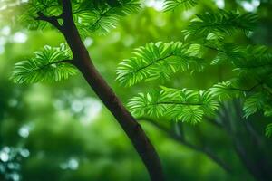 ein Baum Ast mit Blätter im das Hintergrund. KI-generiert foto