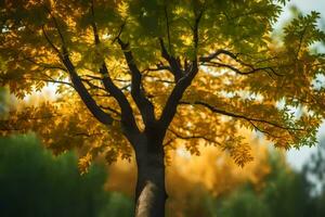 ein Baum mit Gelb Blätter im das Hintergrund. KI-generiert foto