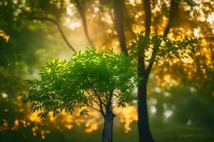 ein Baum im das Mitte von ein Feld mit Sonnenlicht leuchtenden durch. KI-generiert foto